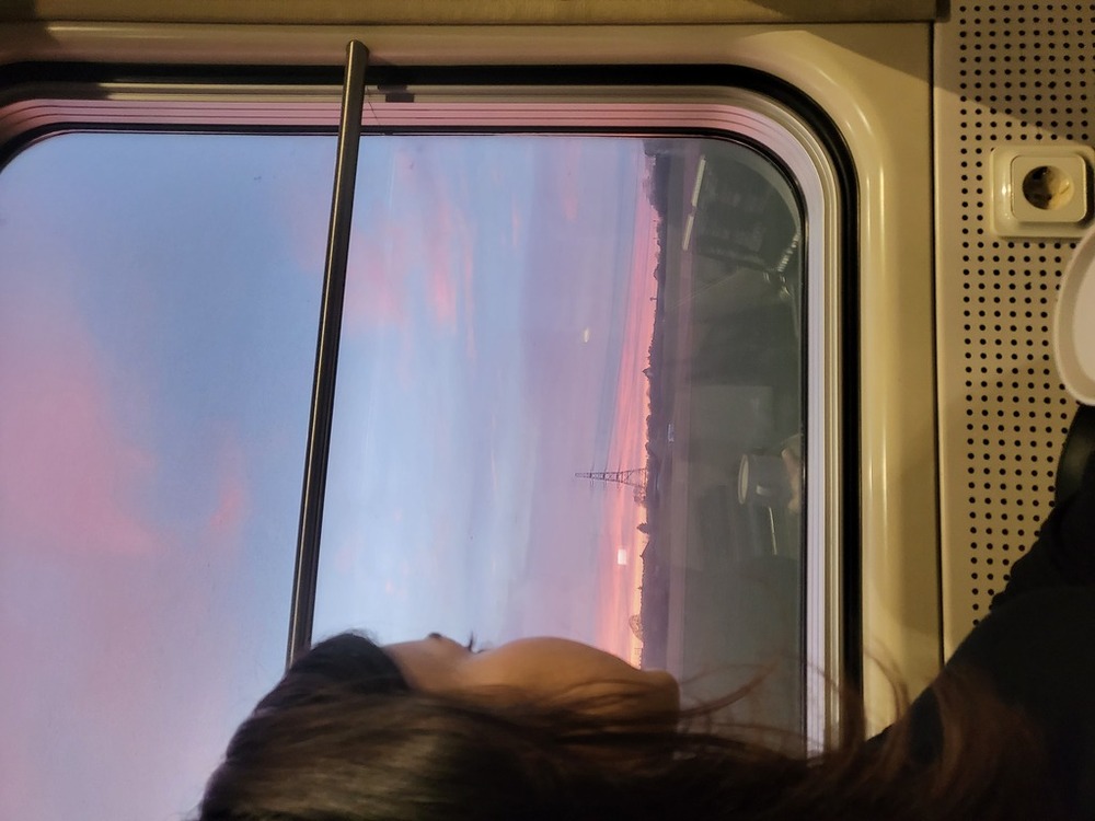 The view